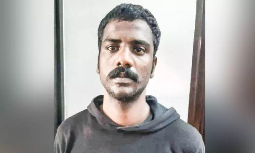 മാ​ർ​ട്ടി​ൻ