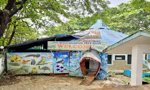 Kozhikode Beach Aquarium