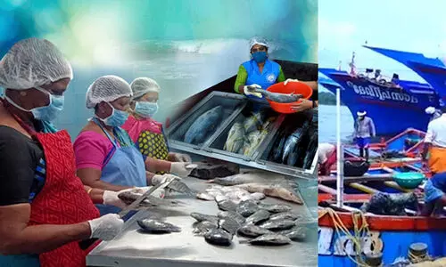 തലച്ചുമടായി മത്സ്യം വില്‍ക്കുന്ന സ്ത്രീകള്‍ക്ക് ബാങ്ക് വായ്പ ലഭ്യമാക്കണമെന്ന് വനിത കമീഷന് മുന്നിൽ മൽസ്യത്തൊഴിലാളികൾ