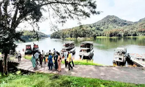 തേക്കടിയിലെ മഞ്ഞും തണുപ്പും ആസ്വദിച്ച് സഞ്ചാരികൾ; അമിത നിരക്ക് വെല്ലുവിളി