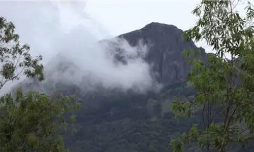 ചിന്നക്കനാൽ വില്ലേജിലെ റിസർവ് വനം   വിജ്​ഞാപനം; നടപടിയിൽ പ്രതിഷേധം