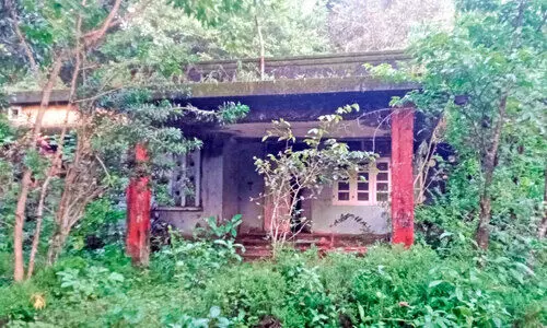 കാടുമൂടി പഴശ്ശി പദ്ധതിയുടെ  ഐ.ബി ഓഫിസ്