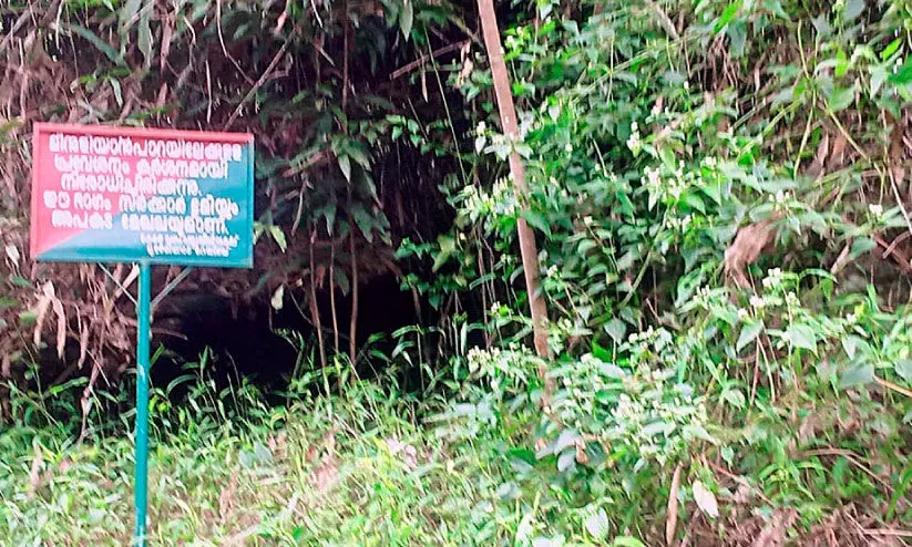 മീനുളിയാൻപാറയിലേക്ക് പ്രവേശനം നിരോധിച്ചിട്ട് രണ്ട് വർഷം; കൊട്ടിയടച്ചത് പട്ടയക്കുടിയുടെ വികസനസ്വപ്നങ്ങള് മീനുളിയാൻപാറയിലേക്ക് പ്രവേശനം നിരോധിച്ചിട്ട് രണ്ട് വർഷം; കൊട്ടിയടച്ചത് പട്ടയക്കുടിയുടെ വികസനസ്വപ്നങ്ങള്