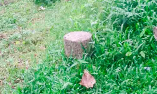 സീപോർട്ട്-എയർപോർട്ട് റോഡ് രണ്ടാം ഘട്ടം; ഭൂമി ഏറ്റെടുക്കാൻ വേണ്ടത് ആയിരം കോടി