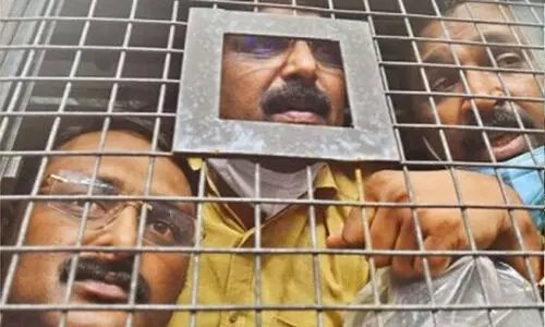 മുട്ടിൽ മരംമുറി: ഇന്ത്യയിലാദ്യമായി മരങ്ങളുടെ ഡി.എൻ.എ പരിശോധനഫലം ഉൾപ്പെടുത്തി കുറ്റപത്രം; 84,600 പേജ്, 12 പ്രതികൾ