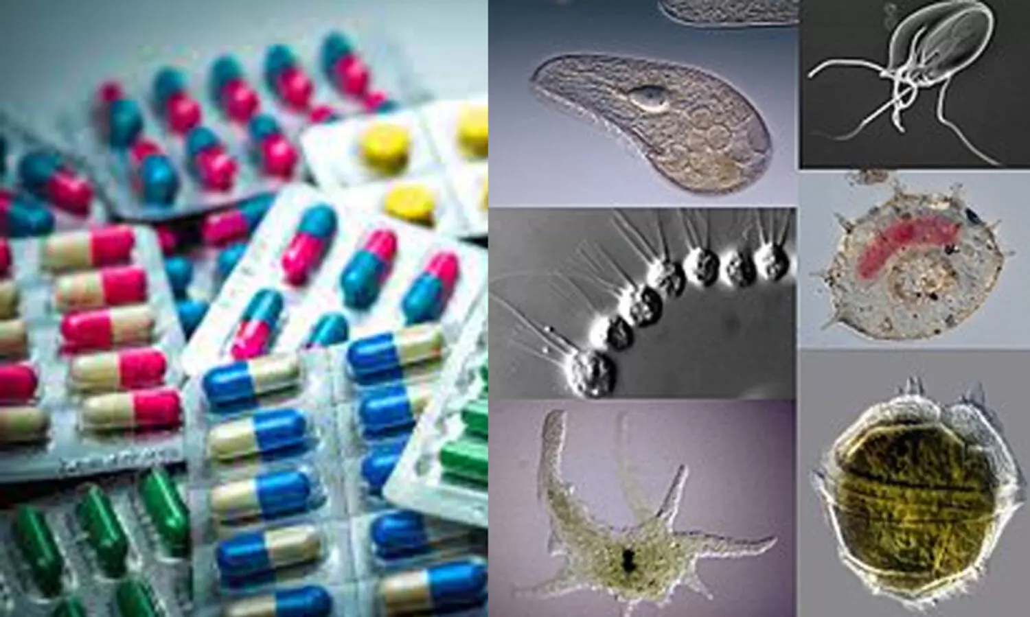 ആന്‍റിബയോട്ടിക്കുകളെ മറികടക്കുന്ന രോഗകാരികള്‍ ആരോഗ്യരംഗത്തിന് വെല്ലുവിളിയെന്ന് വിദഗ്ധര്‍