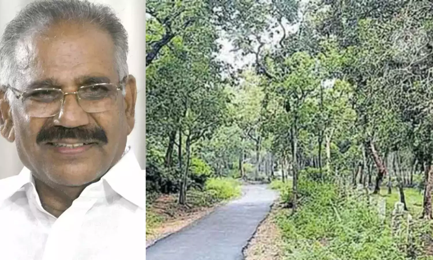 ബഫര്‍സോൺ: സംസ്ഥാന സര്‍ക്കാരിന്റെ പുനഃപരിശോധനാ ഹരജി സുപ്രീംകോടതി അനുവദിച്ചു