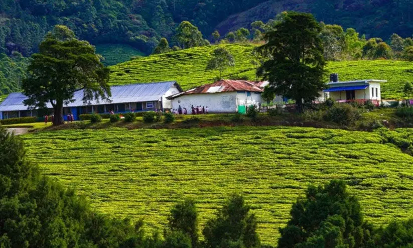 പ്രതിഷേധം കനത്തു;  ചിന്നക്കനാലിലെ 364 ഹെക്ടര്‍ ഭൂമി റിസര്‍വാക്കൽ ഉത്തരവ് മരവിപ്പിച്ചു