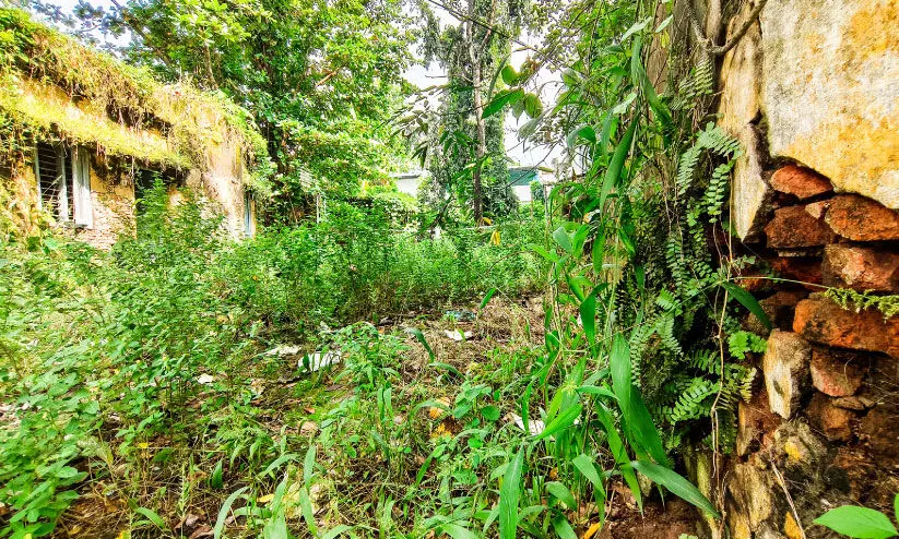 പത്തനംത്തിട്ട ജില്ല ആസ്ഥാനത്ത്​ കാടുകൊണ്ടൊരു ലോക്കപ്പ്