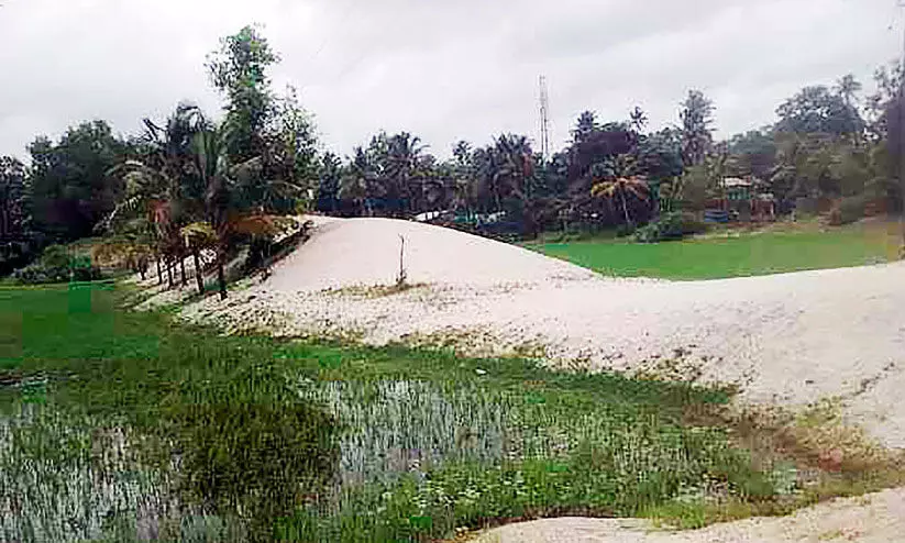 അരൂരിൽ മണ്ണ് സംരക്ഷണം കടുത്ത വെല്ലുവിളി അരൂരിൽ മണ്ണ് സംരക്ഷണം കടുത്ത വെല്ലുവിളി