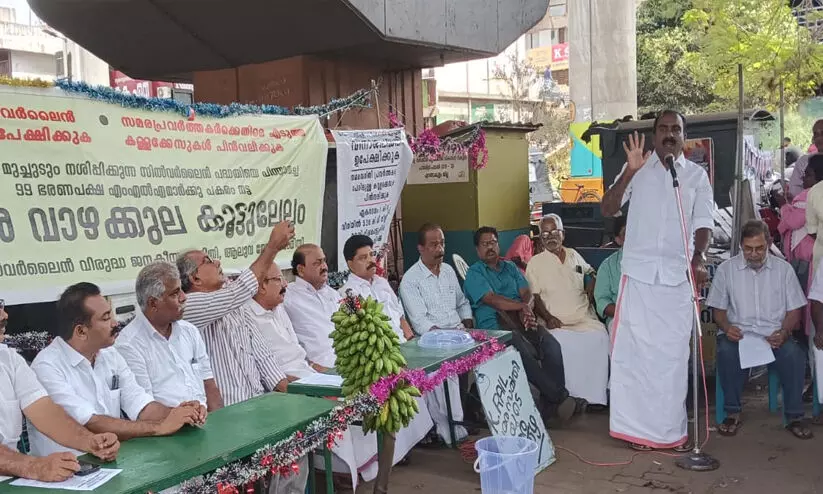 കെ റെയിൽ സമര വാഴക്കുല ലേലം 40300 രൂപക്ക് കെ റെയിൽ സമര വാഴക്കുല ലേലം 40300 രൂപക്ക്