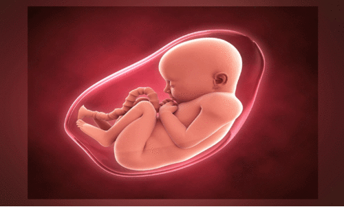 അ​ടി​യ​ന്ത​ര​ഘ​ട്ട​ങ്ങ​ളി​ൽ ഗ​ർ​ഭഛി​ദ്ര​ത്തി​ന്​ ഭ​ർ​ത്താ​വി​ന്റെ സ​മ്മ​തം വേ​ണ്ടെ​ന്ന് നി​യ​മം