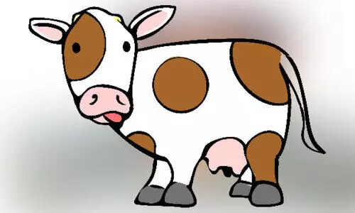 മൃഗാശുപത്രികളിൽ മരുന്നില്ല; ക്ഷീരകർഷകർ വലയുന്നു