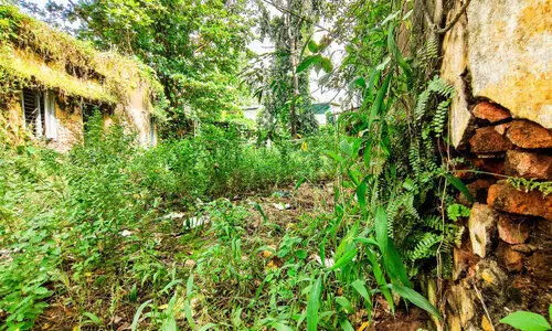 പത്തനംത്തിട്ട ജില്ല ആസ്ഥാനത്ത്​ കാടുകൊണ്ടൊരു ലോക്കപ്പ്