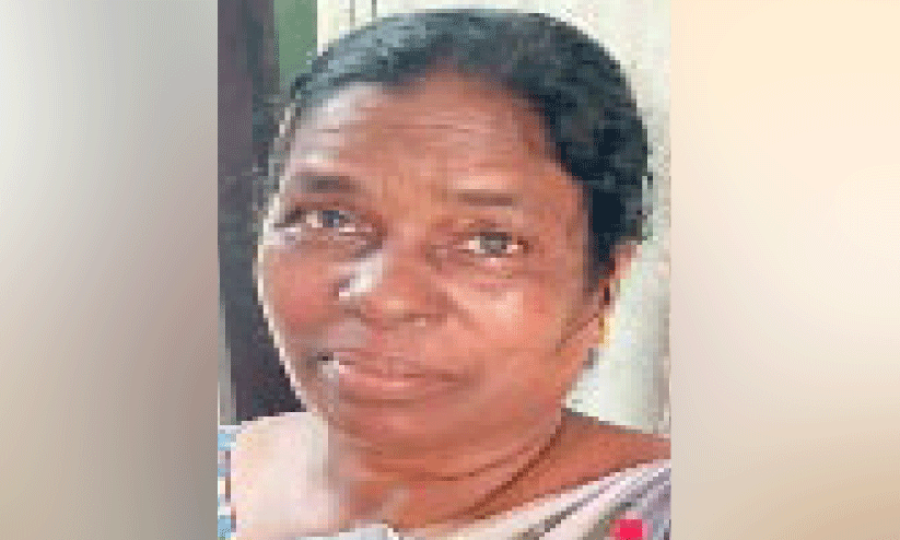 കോടയും വാറ്റുപകരണങ്ങളുമായി സ്ത്രീ പിടിയിൽ