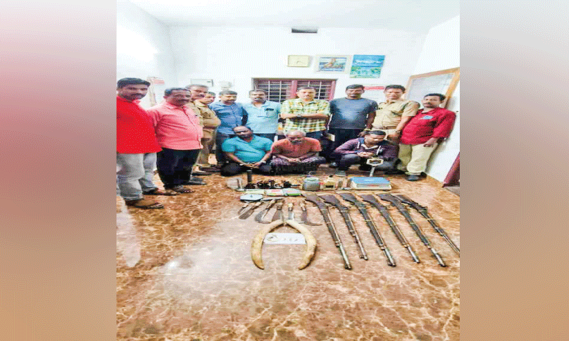 അട്ടപ്പാടിയിൽ ആനക്കൊമ്പും നാടൻ തോക്കുകളുമായി മൂന്നുപേർ പിടിയിൽ