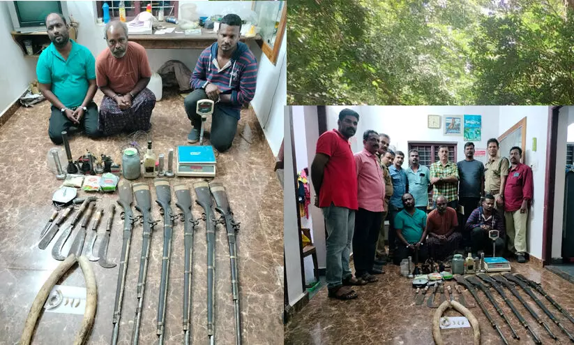 ആനക്കൊമ്പുകളും ആറു നാടൻ തോക്കുകളുമായി മൂന്നുപേർ പിടിയിൽ ആനക്കൊമ്പുകളും ആറു നാടൻ തോക്കുകളുമായി മൂന്നുപേർ പിടിയിൽ