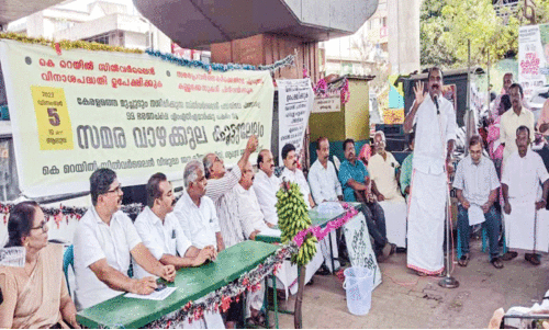 കെ റെയിൽ സമര വാഴക്കുലക്ക് ലേലത്തിൽ 40,300 രൂപ