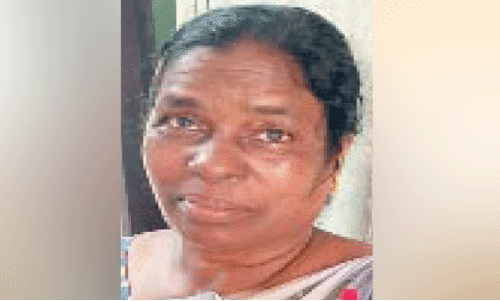 കോടയും വാറ്റുപകരണങ്ങളുമായി സ്ത്രീ പിടിയിൽ