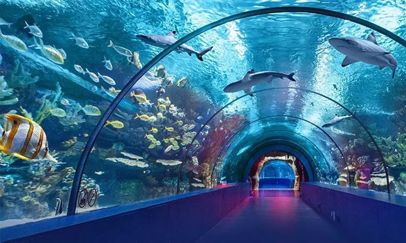 കടലിനടിയിലൂടെ നടക്കാം; ആലപ്പുഴ ബീച്ചിൽ അത്​ഭുതക്കാഴ്ച 15ന്​ മിഴിതുറക്കും