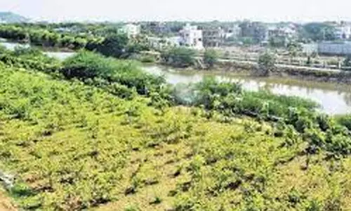 ഭൂമി തരംമാറ്റം: വേഗത്തിലാക്കാൻ നിർദേശം