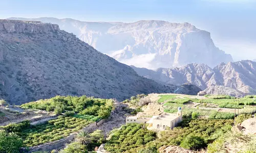 സൈ​ഖി​ലും ജ​ബ​ൽ ശം​സി​ലും ത​ണു​പ്പ്​ തു​ട​ങ്ങി; ഇ​നി കു​ളി​ര​ണി​യും കാ​ലം