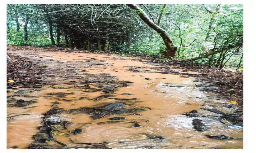 ഓം​ബു​ഡ്സ്മാ​ൻ ഉ​ത്ത​ര​വ് ന​ട​പ്പാ​ക്കി​യി​ല്ല; പ​ഞ്ചാ​യ​ത്ത് സെ​ക്ര​ട്ട​റി​ക്കെ​തി​രെ പ​രാ​തി