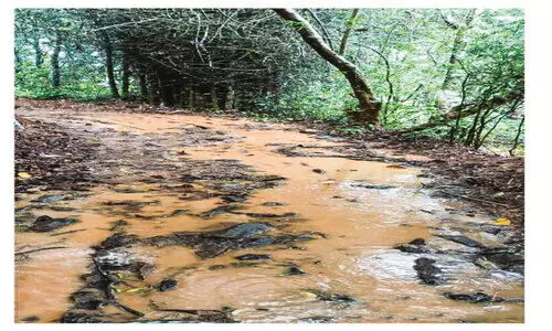 ഓം​ബു​ഡ്സ്മാ​ൻ ഉ​ത്ത​ര​വ് ന​ട​പ്പാ​ക്കി​യി​ല്ല; പ​ഞ്ചാ​യ​ത്ത് സെ​ക്ര​ട്ട​റി​ക്കെ​തി​രെ പ​രാ​തി