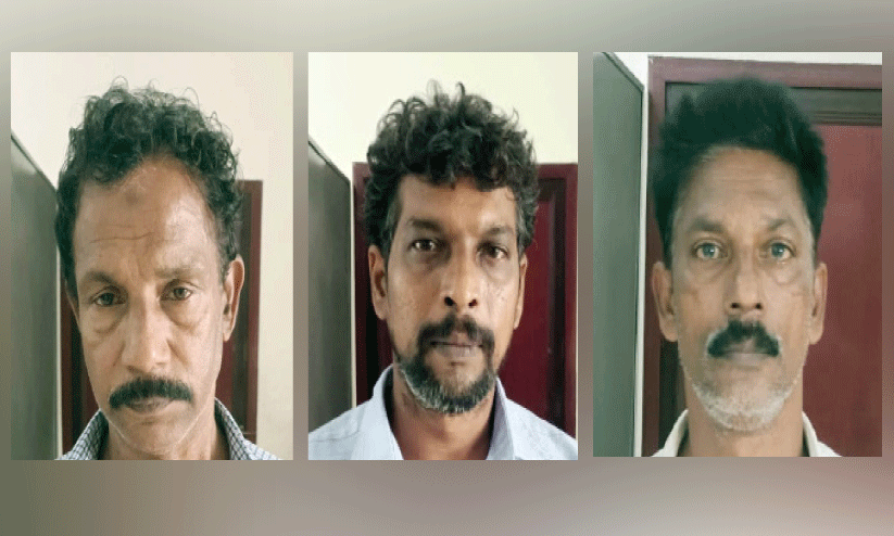 ആനക്കൊമ്പ് കേസ്: മൂന്നുപേർകൂടി പിടിയിൽ