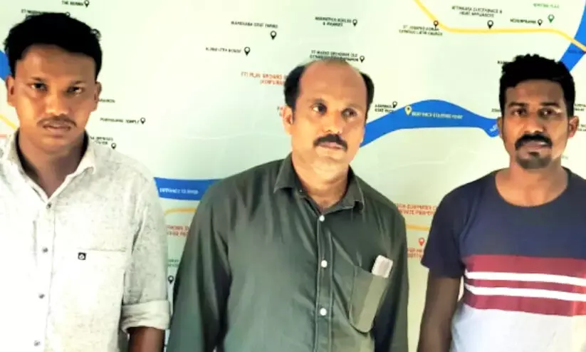 bamboo cartoon theft bamboo cartoon theft