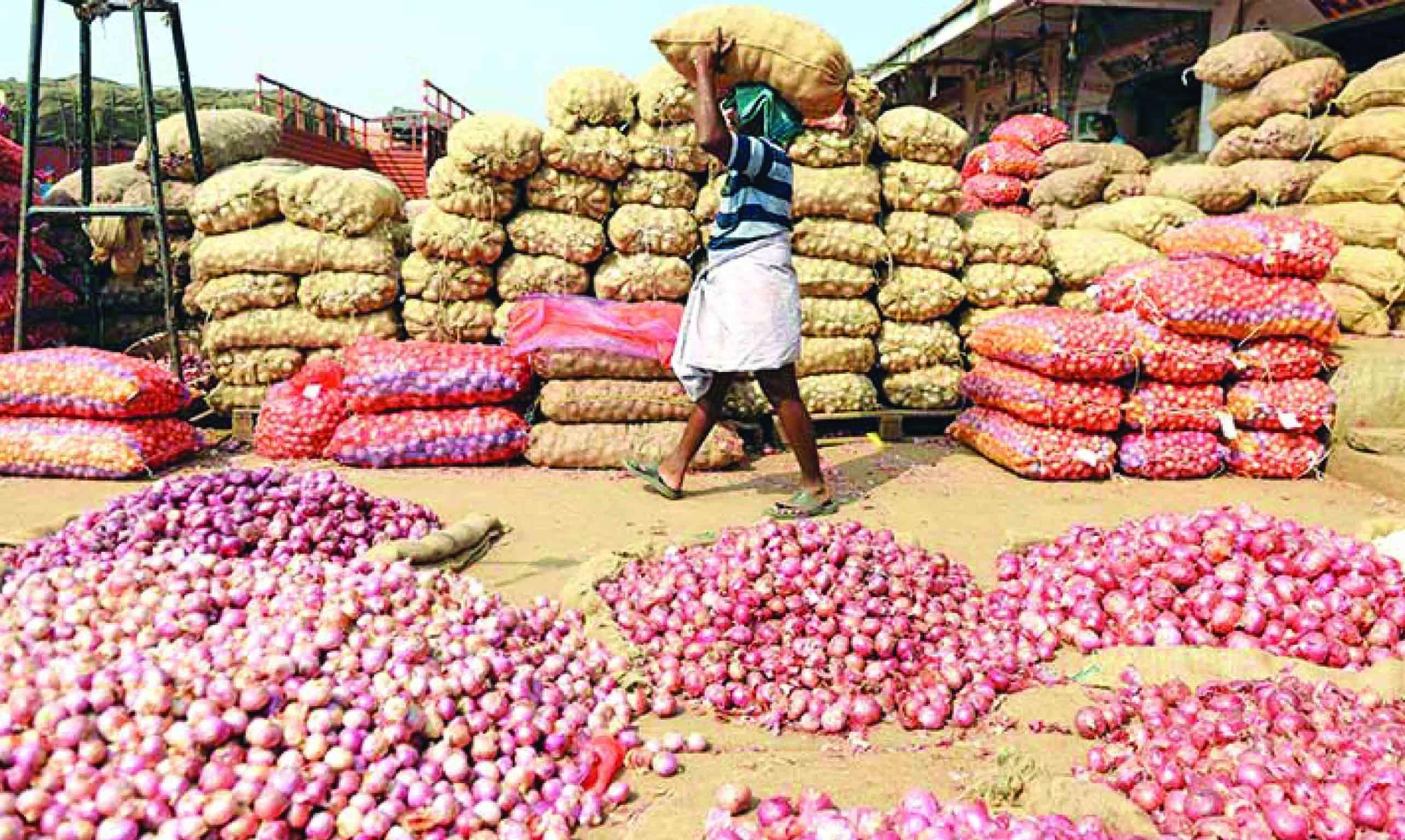ഇ​ന്ത്യ​ൻ സവാളക്ക് വീ​ണ്ടും ക​യ​റ്റു​മ​തി​നി​രോ​ധ​നം; ഒ​മാ​നി​ൽ വി​ല ഉ​യ​രും