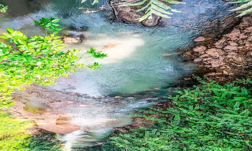 പരപ്പാൻ തോട്ടിലെ വെള്ളത്തിന് നിറം മാറ്റം