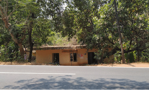 കോടികൾ വിലവരുന്ന സർക്കാർഭൂമി സ്വകാര്യവ്യക്തി സ്വന്തമാക്കിയെന്ന്  ഇ. ​ശ​ശി​ധ​ര​ൻ