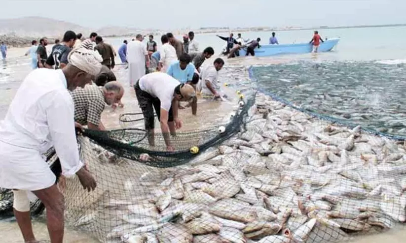 fisheries sector