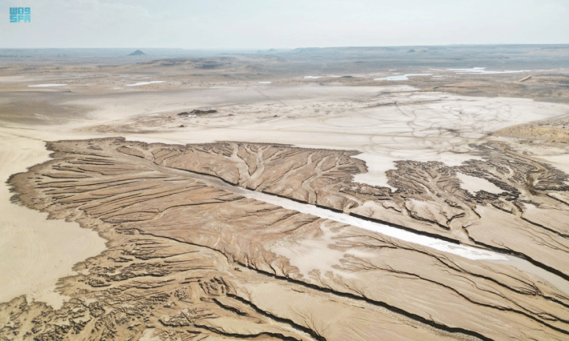 മ​ഴ മ​രു​ഭൂ​മി​യി​ൽ വ​ര​ച്ച​ത്