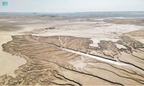 മ​ഴ മ​രു​ഭൂ​മി​യി​ൽ വ​ര​ച്ച​ത്