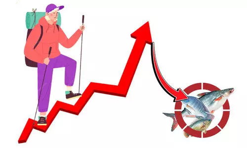 വളരുന്ന ടൂറിസം; തളരുന്ന മത്സ്യമേഖല