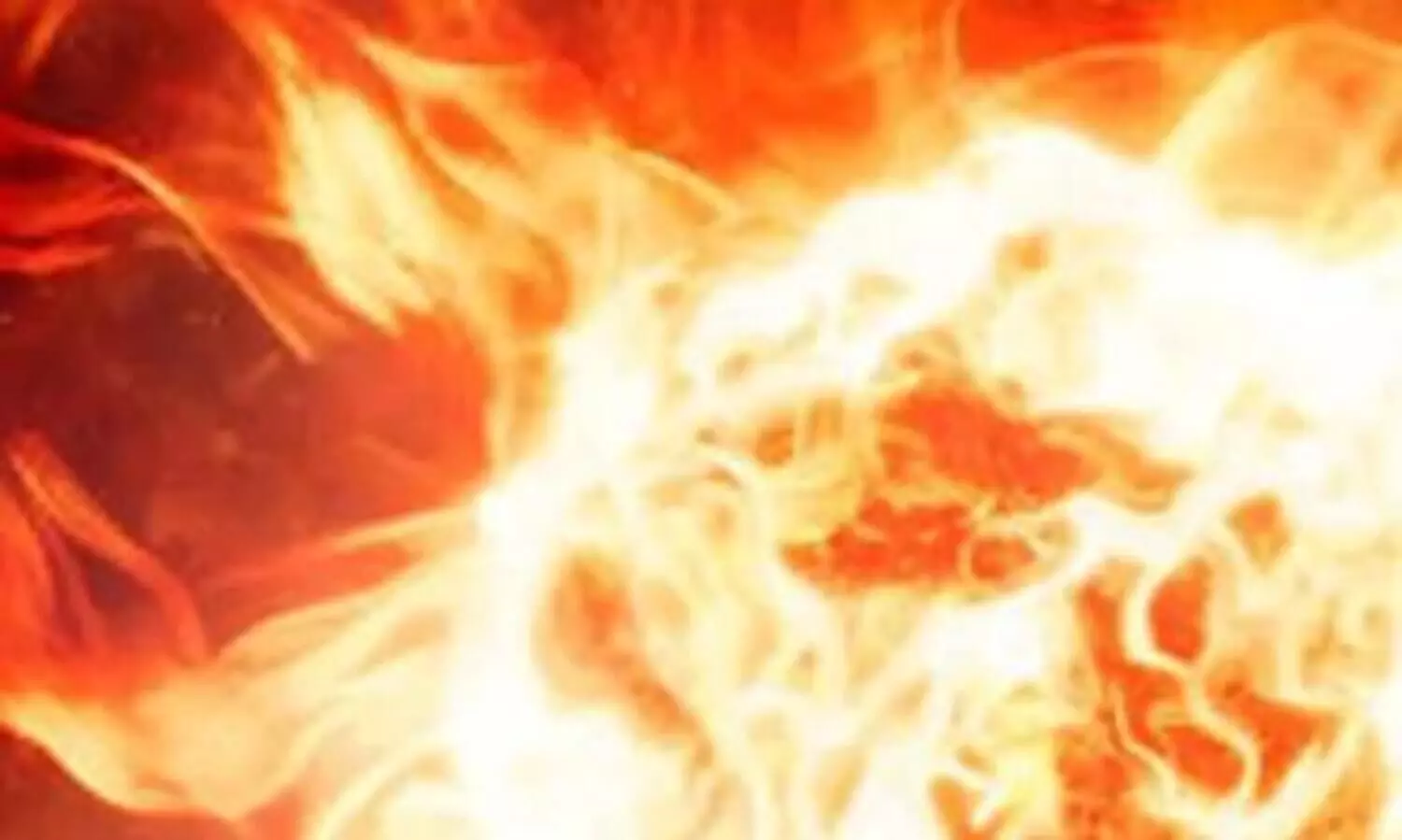 പയ്യന്നൂരിൽ നാടൻ ബോംബ് പൊട്ടി നായ ചത്തു