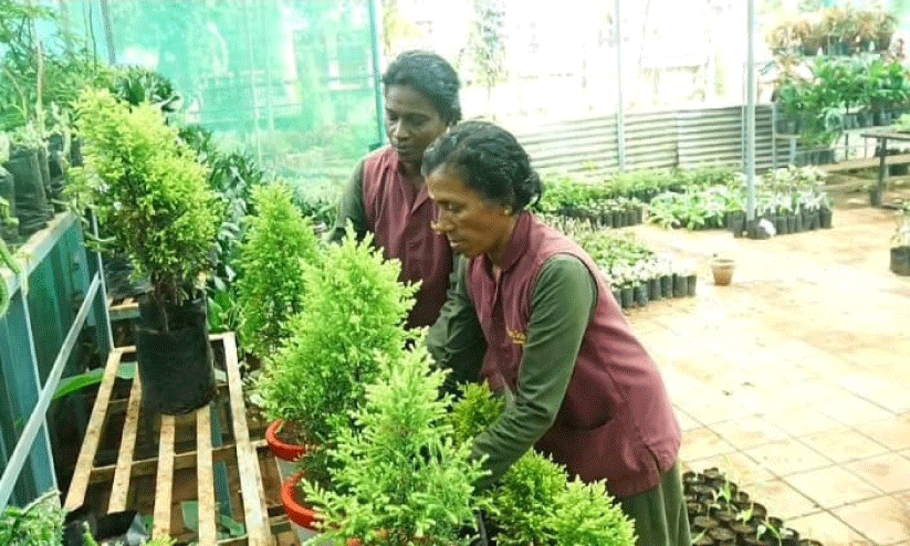 പ്ലാ​സ്റ്റി​ക്കിനെ പ​ടി​ക്ക് പു​റ​ത്താ​ക്കാം