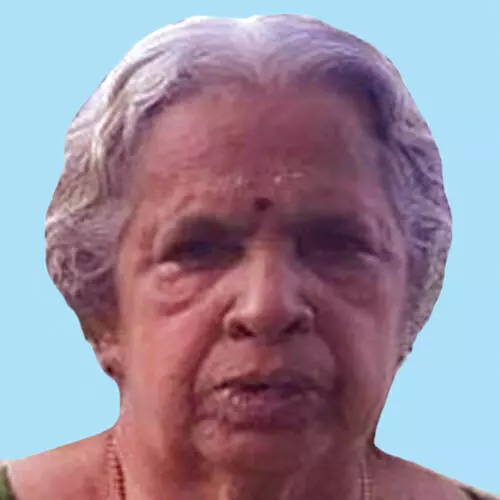 മീ​നാ​ക്ഷി അ​മ്മ