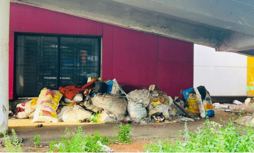 കെ.എസ്.ആർ.ടി.സി സ്റ്റാൻഡിനു മുന്നിലെ മാലിന്യം കെ.എസ്.ആർ.ടി.സി സ്റ്റാൻഡിനു മുന്നിലെ മാലിന്യം