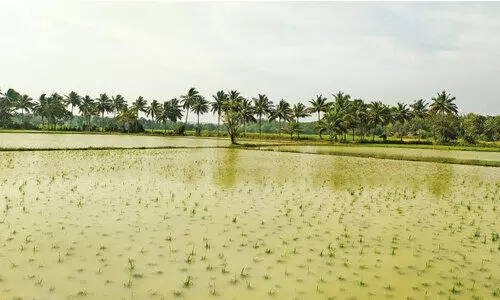 മഴ; മലമ്പുഴ ഡാം തുറക്കുന്നത് നീട്ടണമെന്ന് മഴ; മലമ്പുഴ ഡാം തുറക്കുന്നത് നീട്ടണമെന്ന്