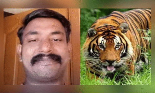 നി​ശ്ച​ല​മാ​യി പ്ര​ജീ​ഷ്; ഉ​റ​ങ്ങാ​തെ കാ​വ​ലി​രു​ന്ന് നാ​ട്