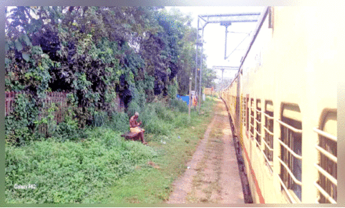 കാ​ടു ക​യ​റി​യ എ​ട​ക്കാ​ട് റെ​യി​ൽ​വേ സ്റ്റേ​ഷ​ൻ