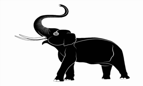 വലിയകുളത്ത് വിനോദ സഞ്ചാരികൾക്ക് നേരെ കാട്ടാന ആക്രമണം വലിയകുളത്ത് വിനോദ സഞ്ചാരികൾക്ക് നേരെ കാട്ടാന ആക്രമണം