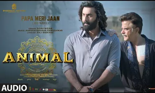 അനിമൽ ചരിത്ര വിജയത്തിലേക്ക്; ഇക്കാര്യത്തിൽ പത്താനെയും ജവാനെയും മറികടന്നു