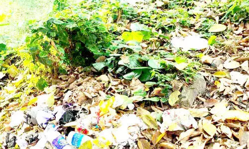 പഴയങ്ങാടി റെയിൽവേ പ്ലാറ്റ്ഫോം പരിസരം പഴയങ്ങാടി റെയിൽവേ പ്ലാറ്റ്ഫോം പരിസരം