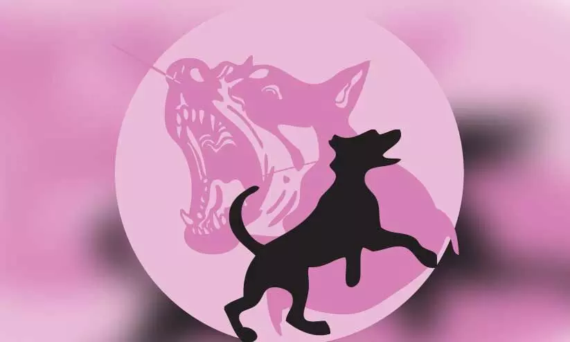 തെരുവുനായ് ഭീഷണിയിൽ മെഡിക്കൽ കോളജ് പരിസരം; പൊ​ലീ​സ് സ്റ്റേ​ഷ​നി​ൽ ഒ​പ്പി​ടാ​നെ​ത്തി​യ ഓ​ട്ടോ​ഡ്രൈ​വ​റെ നാ​യ് ക​ടി​ച്ചു