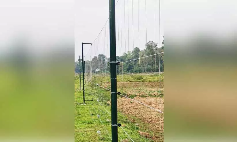 വന്യമൃഗങ്ങളിൽ നിന്ന് കൃഷിയിടം സംരക്ഷിക്കാൻ ആറളംഫാമിൽ സ്ഥാപിക്കുന്ന പ്രതിരോധവേലിയുടെ മാതൃക