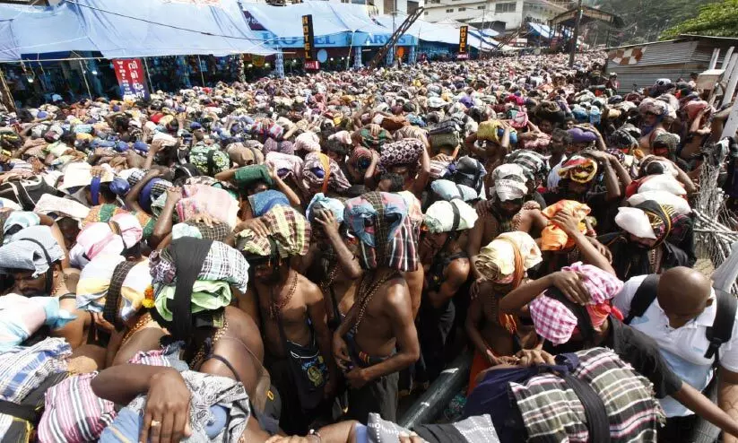 pampa 6768 pampa 6768